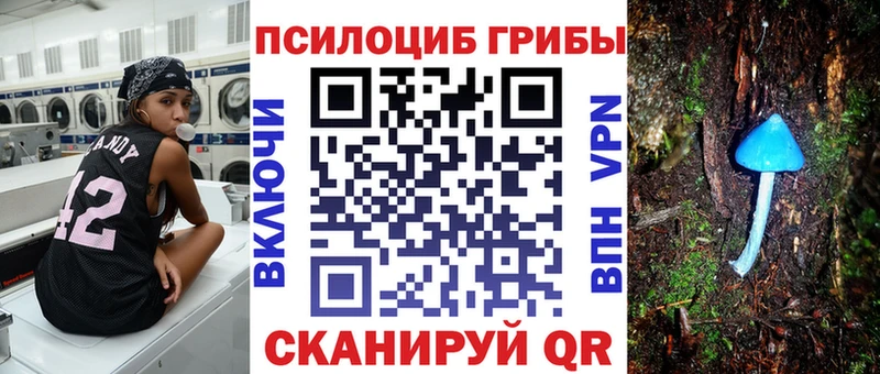 Галлюциногенные грибы прущие грибы blacksprut зеркало Киселёвск